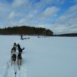 csm_huskystuff_41692d1fdf