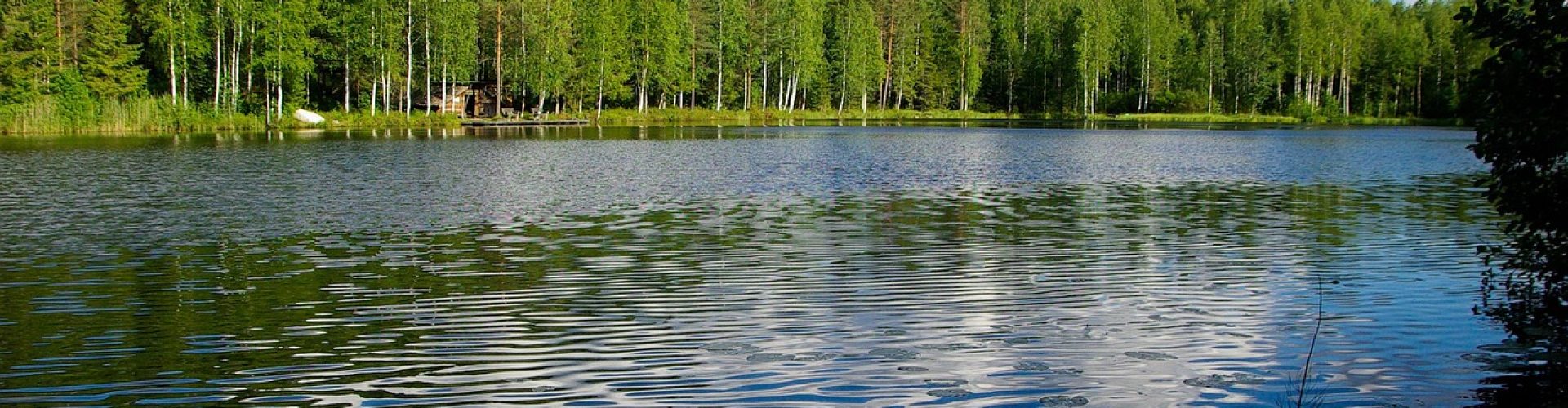 finland, lake, nature, forest