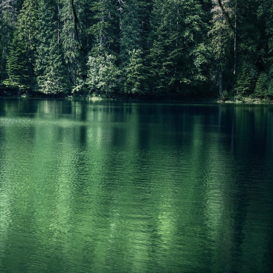 river, creek, swamp, trees, forest, mountains, journey, twilight, calm, fishing, spring, nature, autumn, evening, landscape