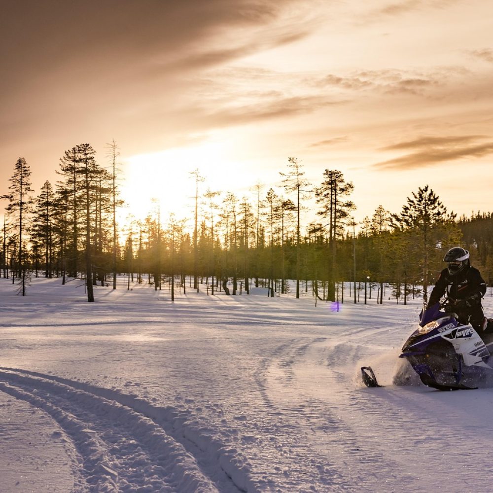 lapland, polar winter, snowmobile, winter, sports, ski doo, snow vehicle, midday sun, fun, winter sports, sweden, lapland, lapland, lapland, lapland, snowmobile, snowmobile, snowmobile, snowmobile, snowmobile, ski doo, ski doo, ski doo, ski doo