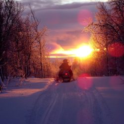 sunset, scooter, snowmobile, backlight, homecoming, sunrise, winter, mountain, the mountains, snow, landscape, norrbotten, frost, nature, cold, autumn ice, sky, sweden, is, yamaha, led, snowmobile trail, frozen, sunshine, track, arjeplog, adolfström, white, snowy, afternoon, snowmobile, snowmobile, snowmobile, snowmobile, snowmobile