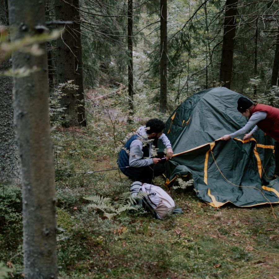 pexels-photo-5993966-5993966