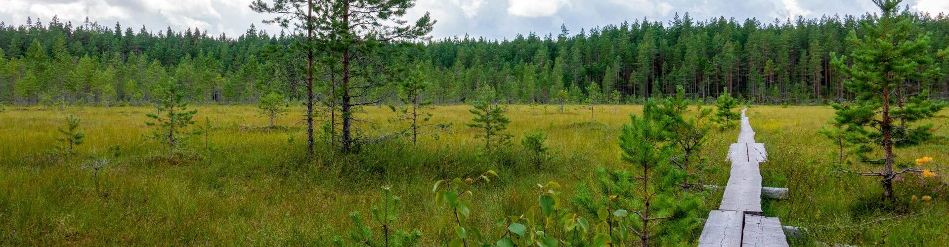 Explore the tranquil Finnish countryside with lush green fields and a scenic wooden pathway.